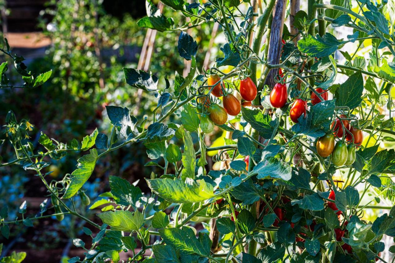 Goldimare Garden Residence ウマグ エクステリア 写真