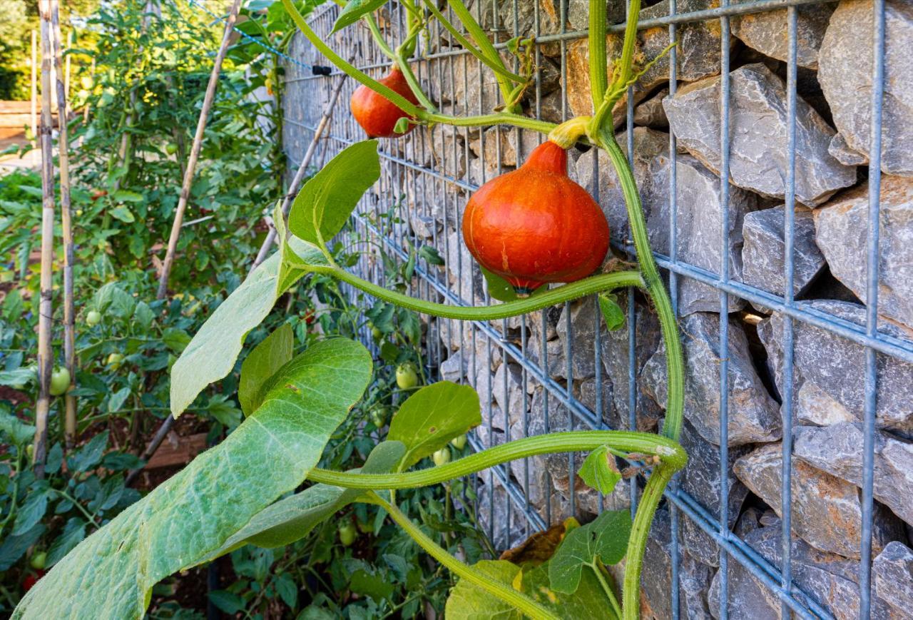 Goldimare Garden Residence ウマグ エクステリア 写真